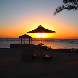 Paradise_crewconnected