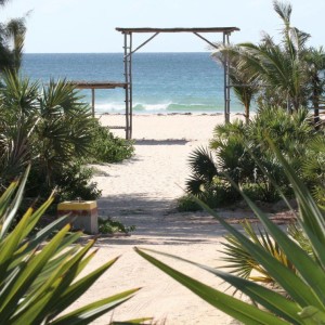 Myidtravel_Mozambique_Staff_Travel_ID90_Crewconnected_Flight_Attendant_11