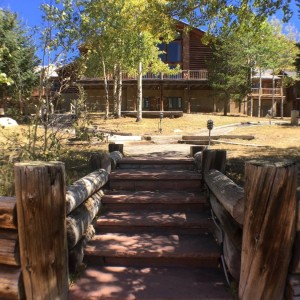 Airline_Staff_USA_Flight_Deck_Crewconnected_5