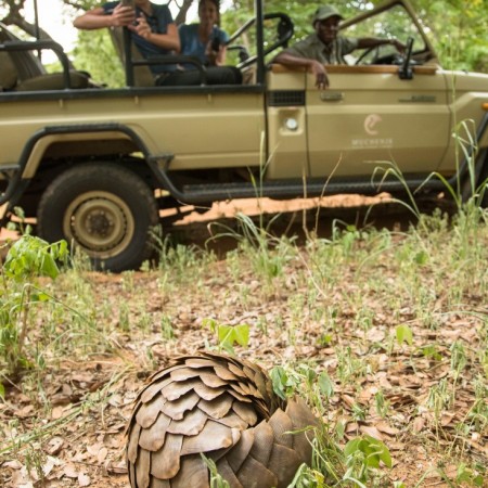 Muchenje-Feb'19-Game Drive-11