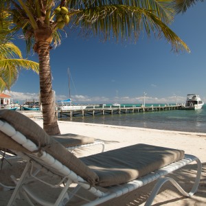 sbh20121210_unsorted-1016