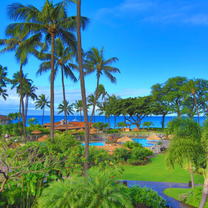 Maui_Airline_Myidtravel_Crewconnected_Interline_ID90_8