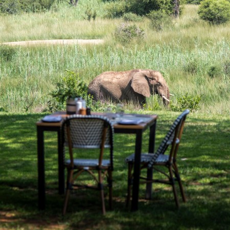 Safari_Marataba_Crewconnected_South_Africa_holiday_8